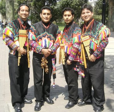 Antaras y quenas del grupo
                                  Wayanay
