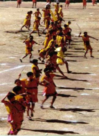 Fiesta de Warachikuy 11, ejercicio de
                            batalla (1)