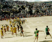 Fiesta de Warachikuy 11, ejercicio de
                            batalla (2)