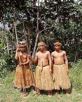 Ind�genas de Loreto en faldas
                  saben m�s sobre la naturaleza y preservan m�s al
                  planeta que cada gringo o japon�s que destruye el
                  planeta con su mercantilismo...