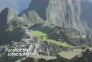 Condor pasa - condor en Machu Pichu