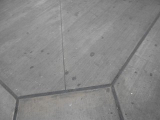 Feo �valo Gutierrez en feo
                            Miraflores: El Ministerio de Migraciones en
                            el s�tano trabaja en un piso de concreto con
                            chicles 02
