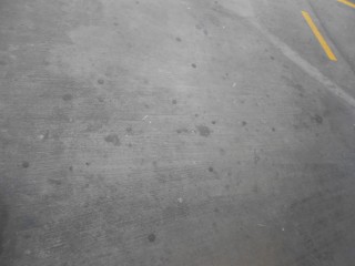 Feo �valo Gutierrez en feo
                            Miraflores: El Ministerio de Migraciones en
                            el s�tano trabaja en un piso de concreto con
                            chicles 05