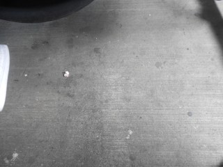 Feo �valo Gutierrez en feo
                                      Miraflores: El Ministerio de
                                      Migraciones en el s�tano deja
                                      esperar sus cliente en un piso de
                                      concreto con chicles y basura 02