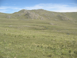 Moorlandschaft (02)