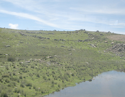 Feld mit Steinumrandung (Steinzaun)