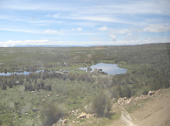 Wasserloch