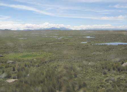 Die Wasserloch-Landschaft, 10:30 Uhr