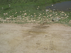 Delle im Feldweg