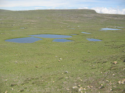 Teichlandschaft