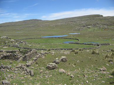 Teichlandschaft mit Steinmauer (02)