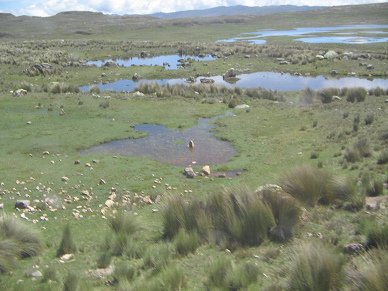 Wasserl�cher, Nahaufnahme