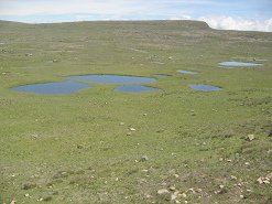 Teichlandschaft