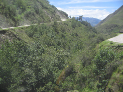 Sicht aus dem Tal mit Strassenverlauf
                        (links und rechts)