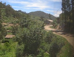 Feldweg in Kurven
                        mit W�ldchen, 11:44 Uhr