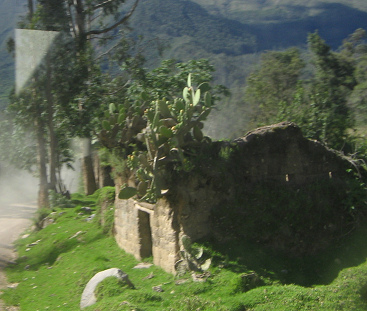 Casa con cacto de tuna (opuntia)