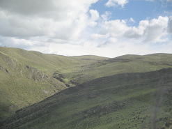 Grasberge