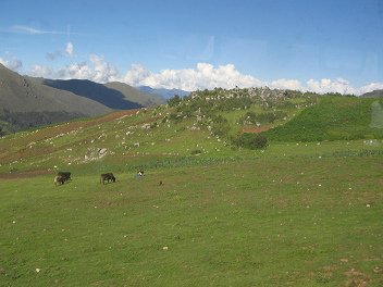 Weide und Steinwiese �ber
                                        der Baumgrenze