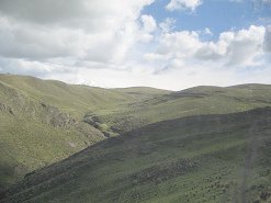Grasberge