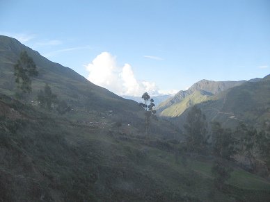 Baumgestalt und Berggipfel im
                                  Sonnenschein vor Talavera