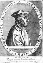 Jacques Dubois (Jacobus
                                        Sylvius), Profil [19];