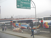 Busterminal Fiori, ein
Bus der Firma "Anita" Busterminal Fiori, ein Bus der Firma
"Anita"