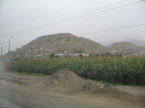 Panamericana, Feld und Wüstenberge in der
Ebene von Chancay und Huaral (05) Panamericana, Feld und Wüstenberge in der
Ebene von Chancay und Huaral (05)
