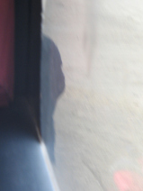 Busfahrer vor Rätselreifen (13) Busfahrer vor Rätselreifen (13)