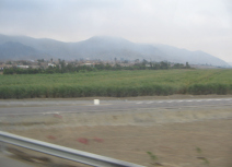 Panamericana, Ebene von Barranca-Paramonga,
                        Feld mit W�stenbergen (01)