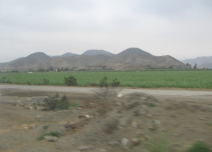 Panamericana, Ebene von Barranca-Paramonga,
                        Feld mit W�stenbergen (03)