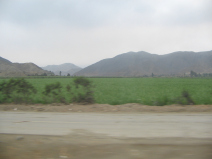 Panamericana, Ebene von Barranca-Paramonga, Feld mit
            W�stenbergen (04)