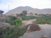 Panamericana, Region Trujillo, Felder und
                        W�stenberge (01)