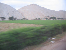Panamericana, Region Trujillo, Felder und
                        W�stenberge (02)