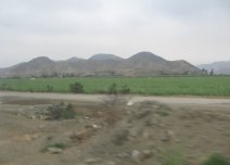 Panamericana, Ebene von Barranca-Paramonga,
                        Feld mit W�stenbergen (03)