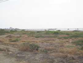 Panamericana Norte entre Tumbes y
                          Zorritos, un muelle