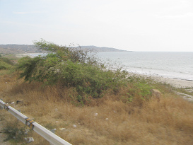 Bah�a de playa entre Tumbes y Zorritos
                          (01)