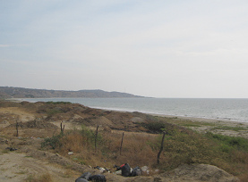 Bah�a de playa entre Tumbes y Zorritos
                          (02)