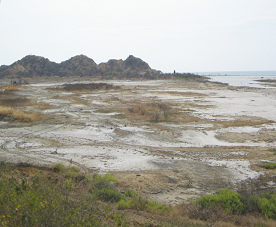 Bah�a de playa entre Tumbes y Zorritos,
                          primer plano