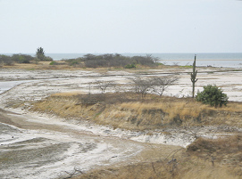 Bah�a de playa entre Tumbes y Zorritos
                          (04)