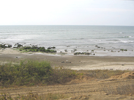 Panamericana Norte: Playa entre Tumbes y
                          Zorritos