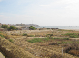 Panamericana Norte, otra bah�a del mar
                          entre Tumbes y Zorritos