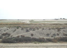 Panamericana Norte entre Tumbes y
                          Zorritos, cuenca vac�a para crianza de conchas
                          (01)