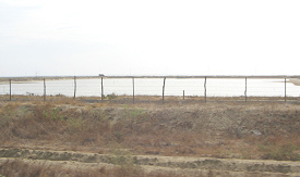 Panamericana Norte entre Tumbes y
                          Zorritos, cuenca llena para la crianza de
                          conchas (02)
