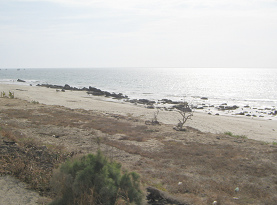 Panamericana Norte entre Tumbes y
                          Zorritos, playa sin fin (01)