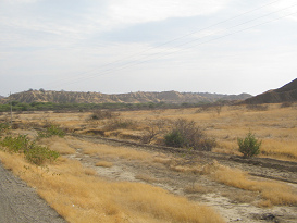 Panamericana Norte entre Zorritos y M�ncora,
                      estepa (01)