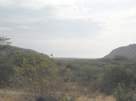 Panamericana Norte entre Zorritos y M�ncora,
                      vista al mar