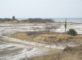 Strandbucht zwischen Tumbes und Zorritos
                          (04)