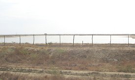Panamericana Norte zwischen Tumbes und
                          Zorritos, ein volles Becken f�r Muschelzucht
                          (02)