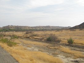 Panamericana Norte zwischen Zorritos und
                      Mancora, Steppe (01)