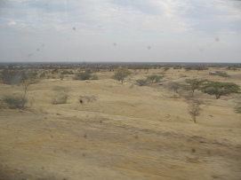Panamericana Norte zwischen Mancora und
                        Piura, Steppe
